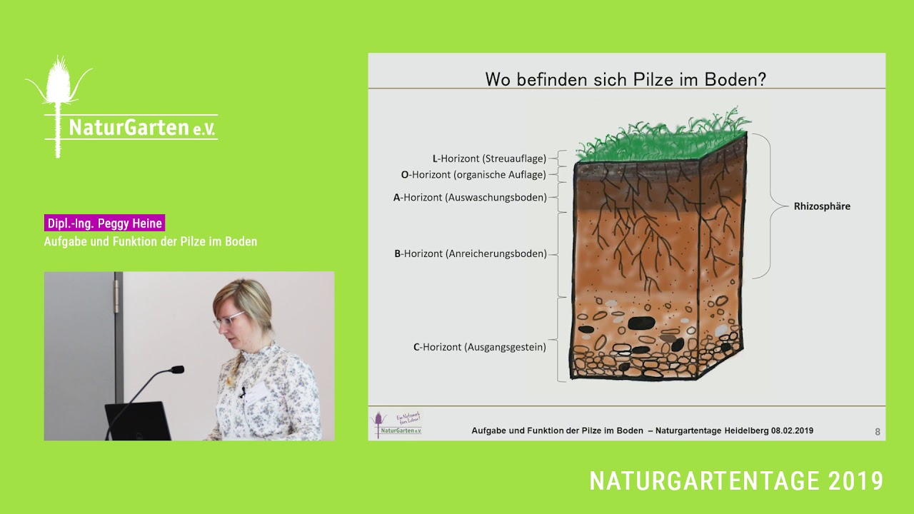Naturgartentage 2019 | Dipl.-Ing. Peggy Heine - Aufgabe und Funktion der Pilze im Boden