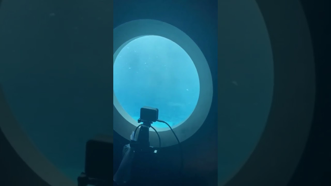 OceanGate Footage Shows Past Expeditions to Titanic Wreckage  |Titan Submersible inside