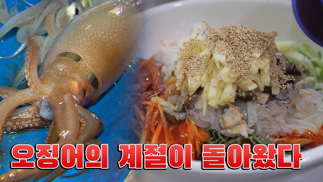 태안 신진항 오징어, 오징어 요리(오징어물회, 오징어통구이) [어영차바다야]