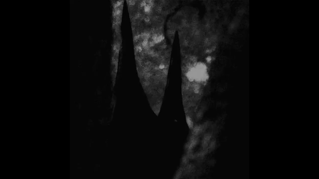 Sidewalks and Skeletons - Shadow (speed up)