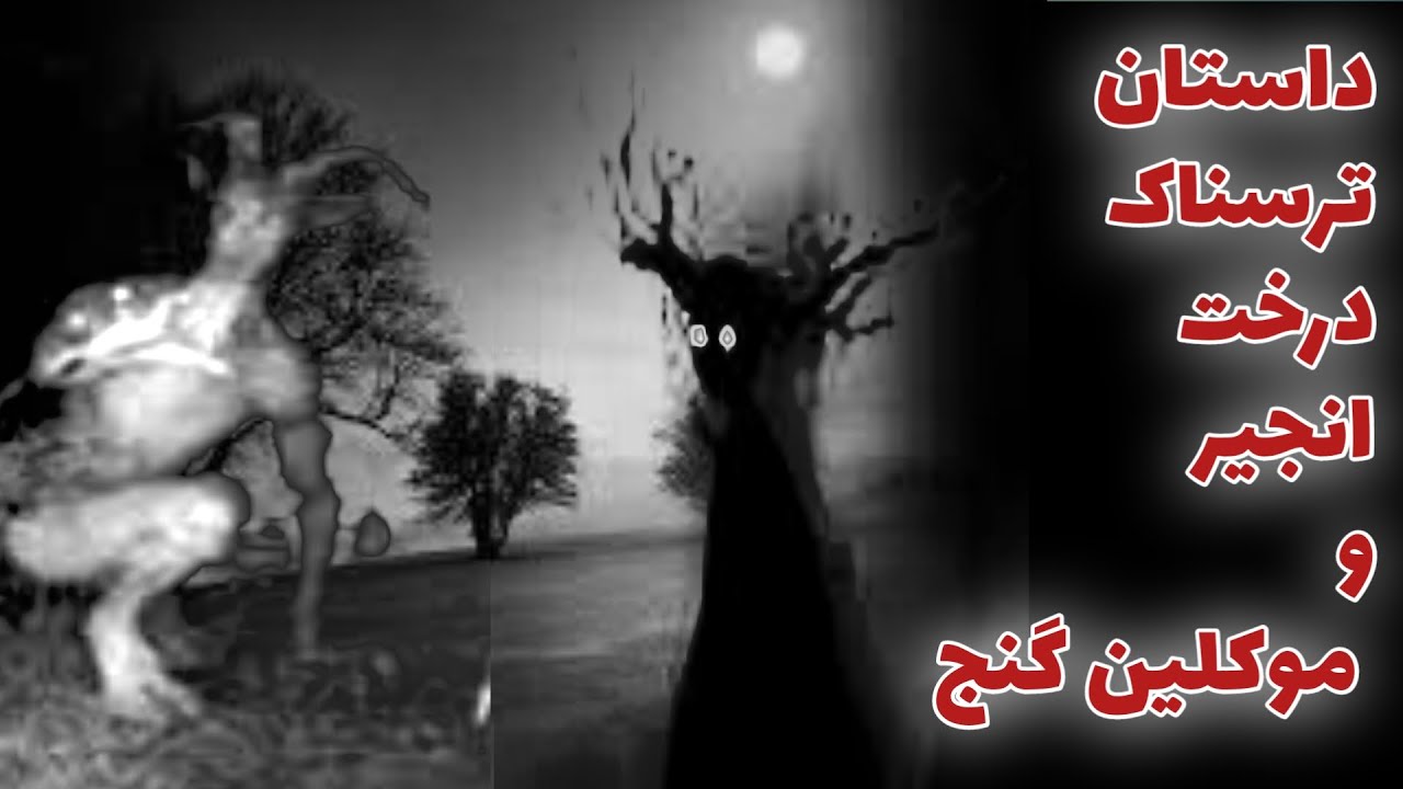 داستان ترسناک درخت انجیر و موکلین گنج _ حکایت ماورایی
