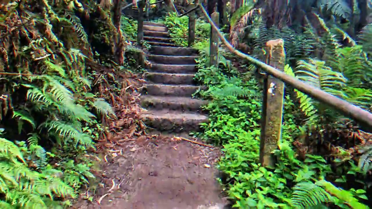 Kokoda Track Memorial Walk 1000 Steps