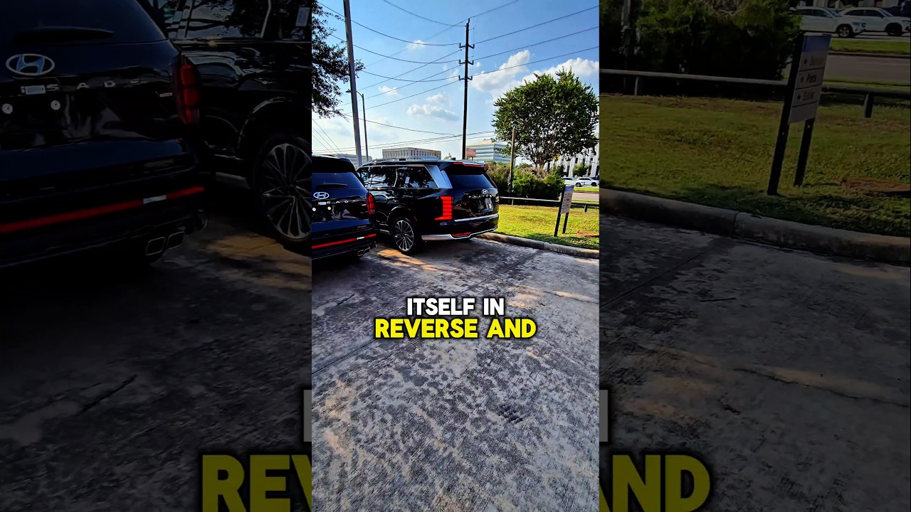 26 Hyundai Palisade Calligraphy! I am backing out of parking spot with just the touch of a button!