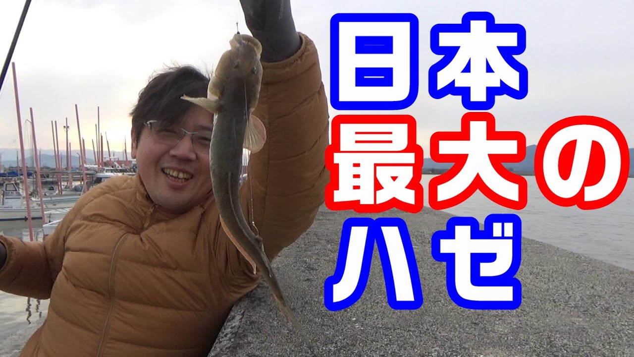 日本最大のハゼ、ハゼクチを狙う！