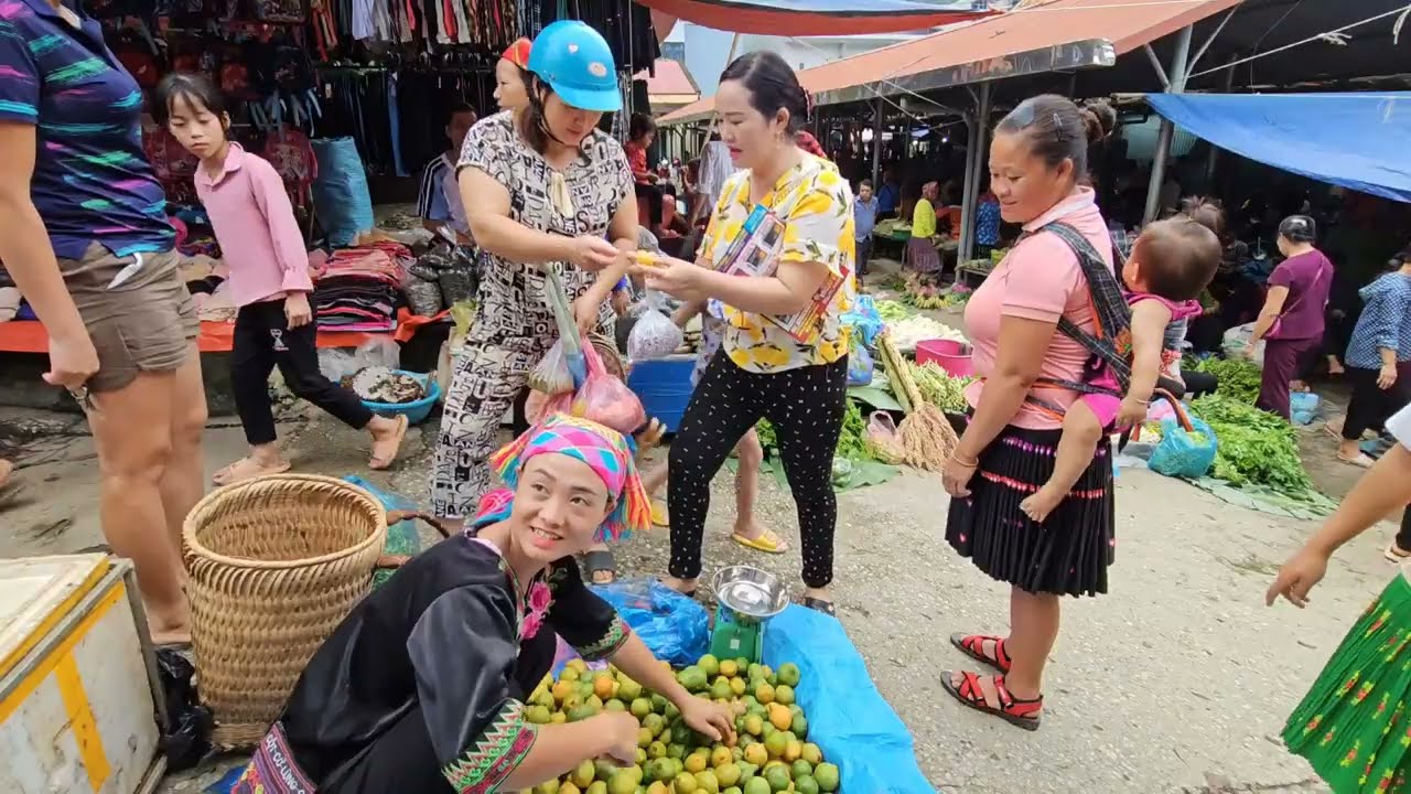 Harvesting Mangosteen go to the market to sell, anh hmong