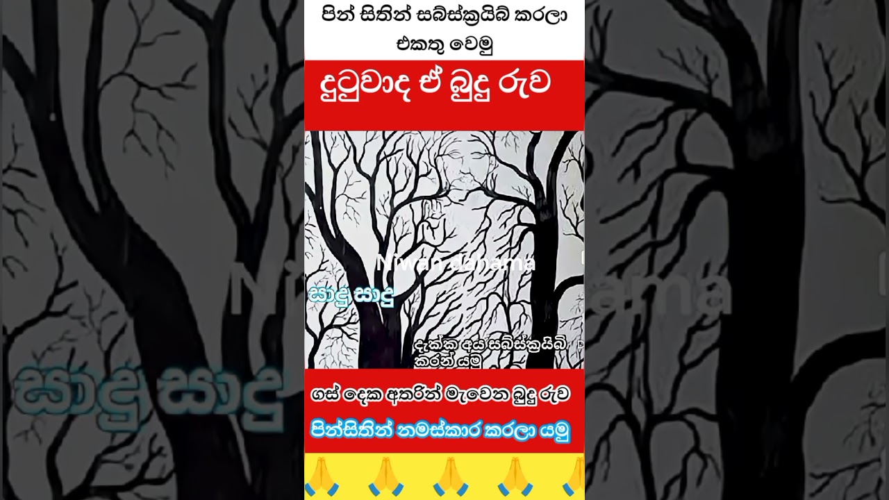 පෙනවා ද ඒ බුදු රුව 🙏☸️#1million #viwes10milionplace #buddha  #srilanka