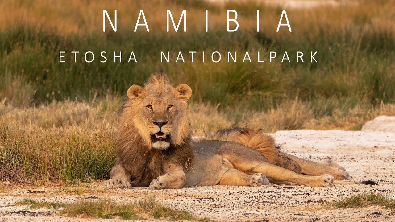 NAMIBIA 2022 | ETOSHA NATIONALPARK