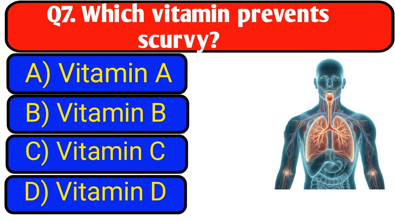 Human Body General Knowledge Quiz | Amazing Human Body Facts | USA GK