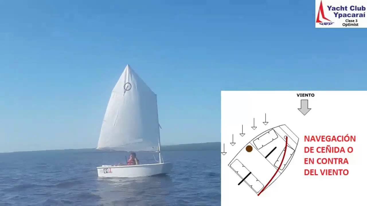 YCY Clase 3 Optimist