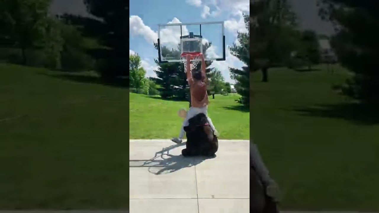 When A 60 Overall Is Actually Good&hellip;