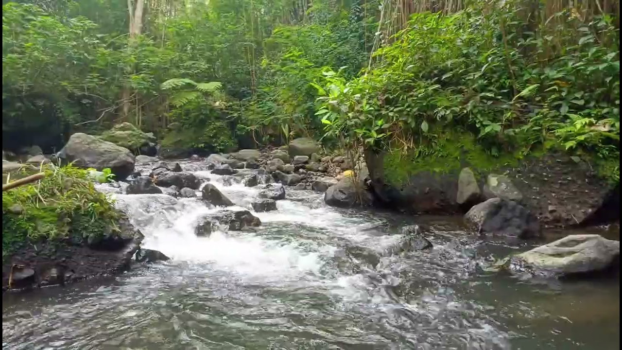 Calm Night River Sounds | Healing Nature Ambience for Mindfulness & Focus