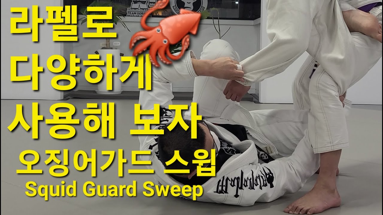 오징어가드 스윕 Squid Guard Sweep (기술도움 : 김준호) #오징어가드 #SquidGuardSweep