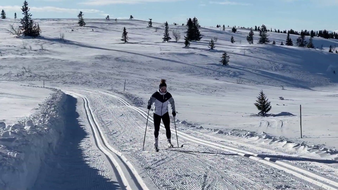 Langrend på Golsfjellet