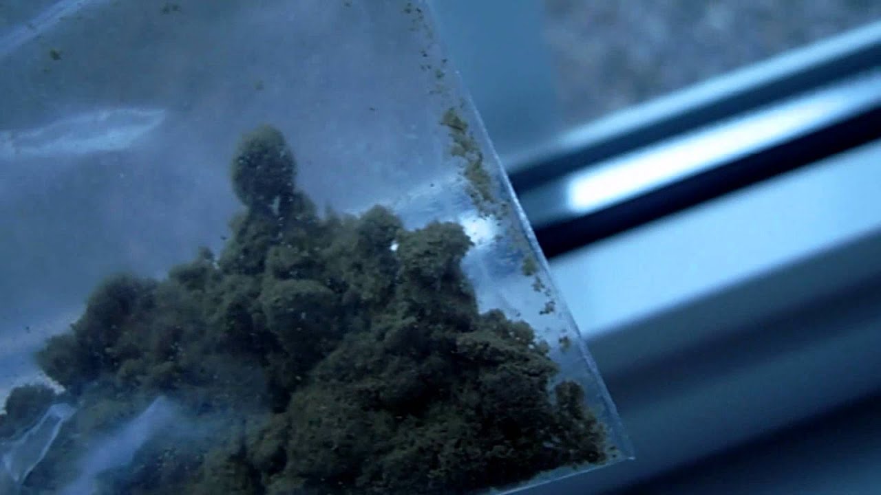 Grey Chrystal Kief from Grey Area coffeeshop 2012
