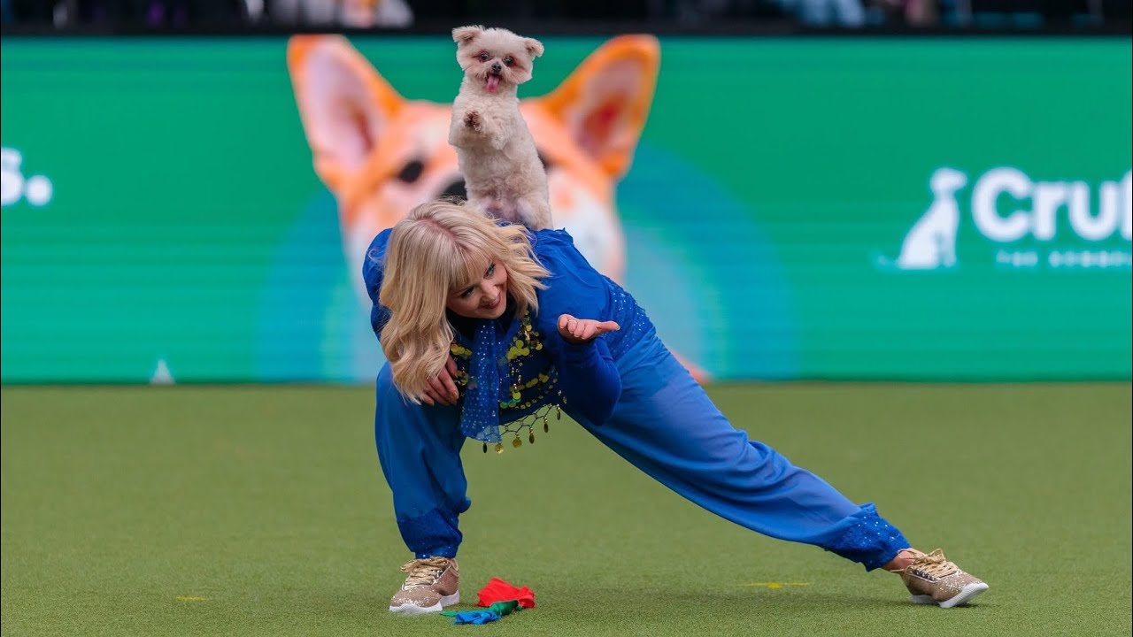 Lucy and Trip Hazard Crufts Freestyle Winners 2025