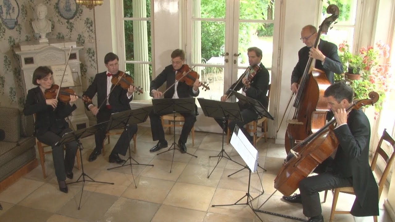 Joseph MAYSEDER : 1. Streichsextett op. 50 (Ausschnitte)