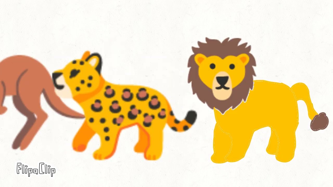 Animals size 