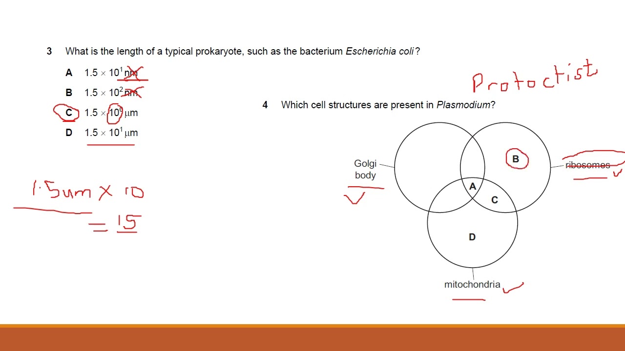 Score yourself first! Oct/Nov 2021 paper 1 v3 explanations