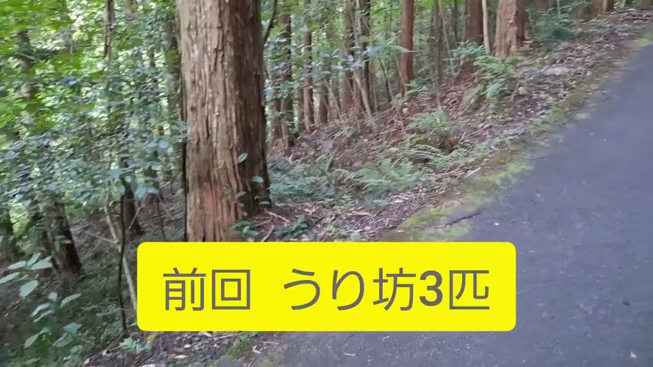 ここだけの話！