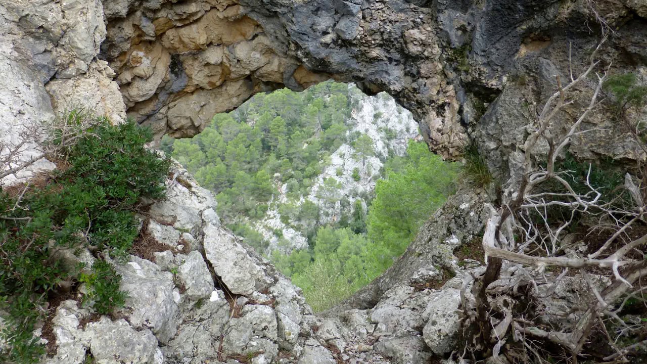 Wandern Mallorca - (063) Rundwanderung über Puig des Castell und Comellar de sa Font de sa Pega