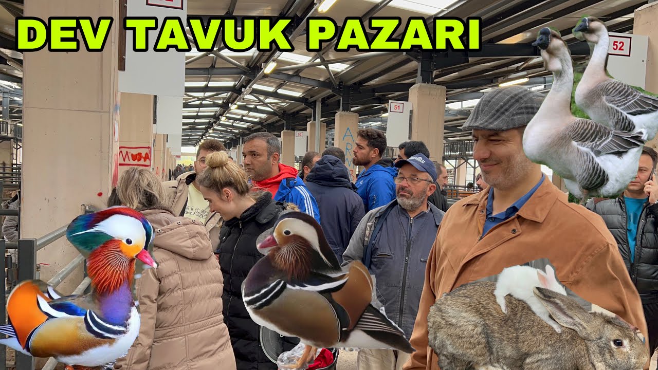 BURSA TAVUK PAZARI  BAKIN NELER KAÇ PARA