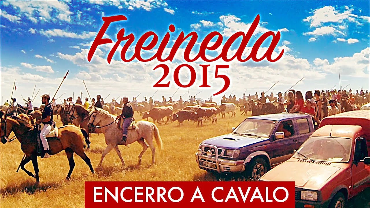 Encerro de Toiros da Freineda 2015