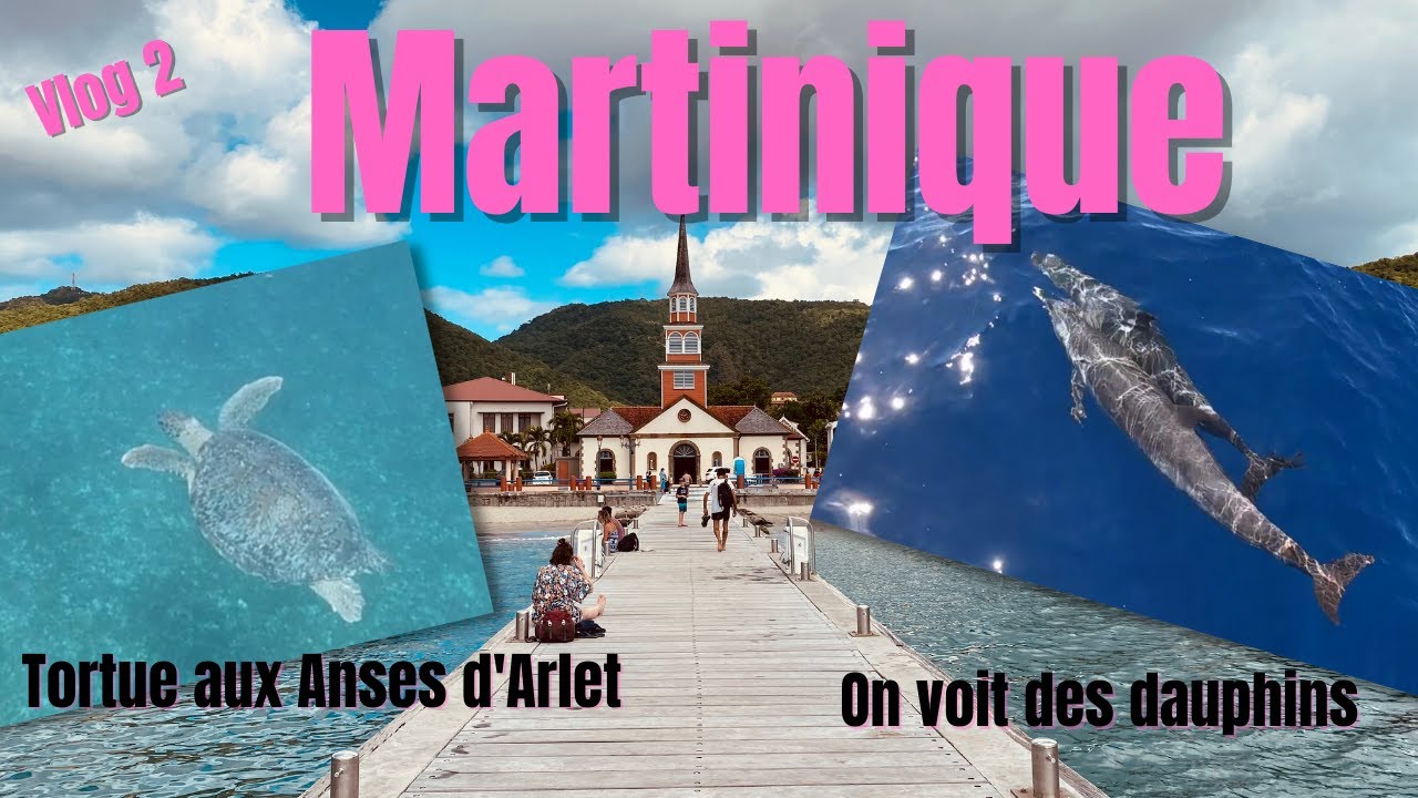 Martinique vlog 2 : on voit des tortues aux Anses d'Arlet et des dauphins en sortie bateau 😍🐢🐬