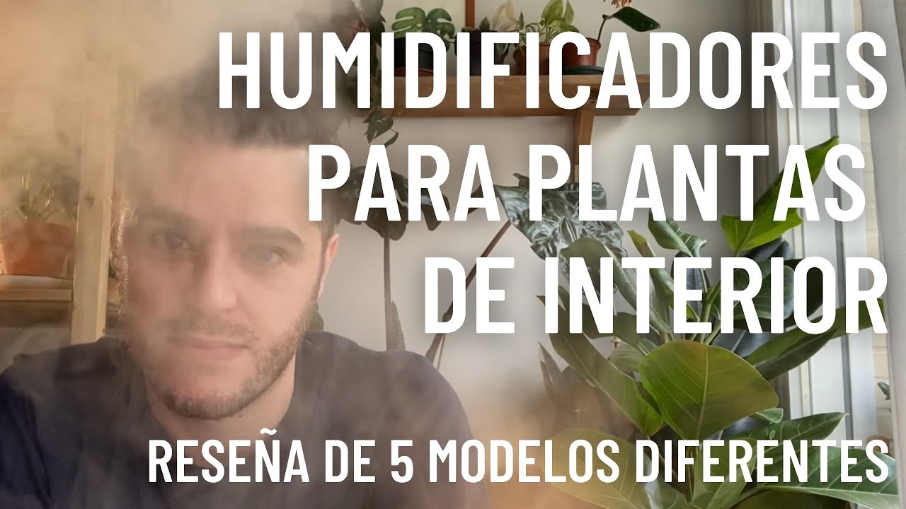 Humidificadores Para Plantas de Interior: Reseña de 5 modelos Diferentes