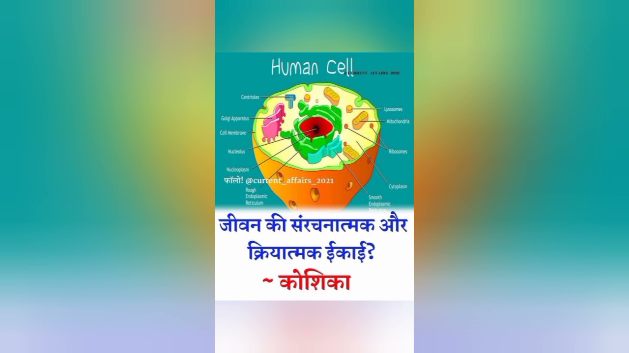 General Science Top Questions for All Exams | REET science questions |