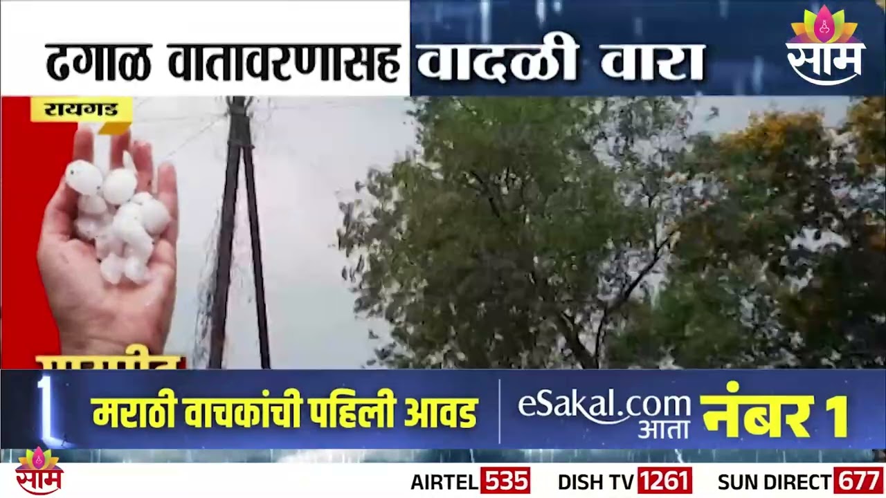 रायगडमध्ये ढगाळ वातावरणासह वादळी वारा | Raigad News