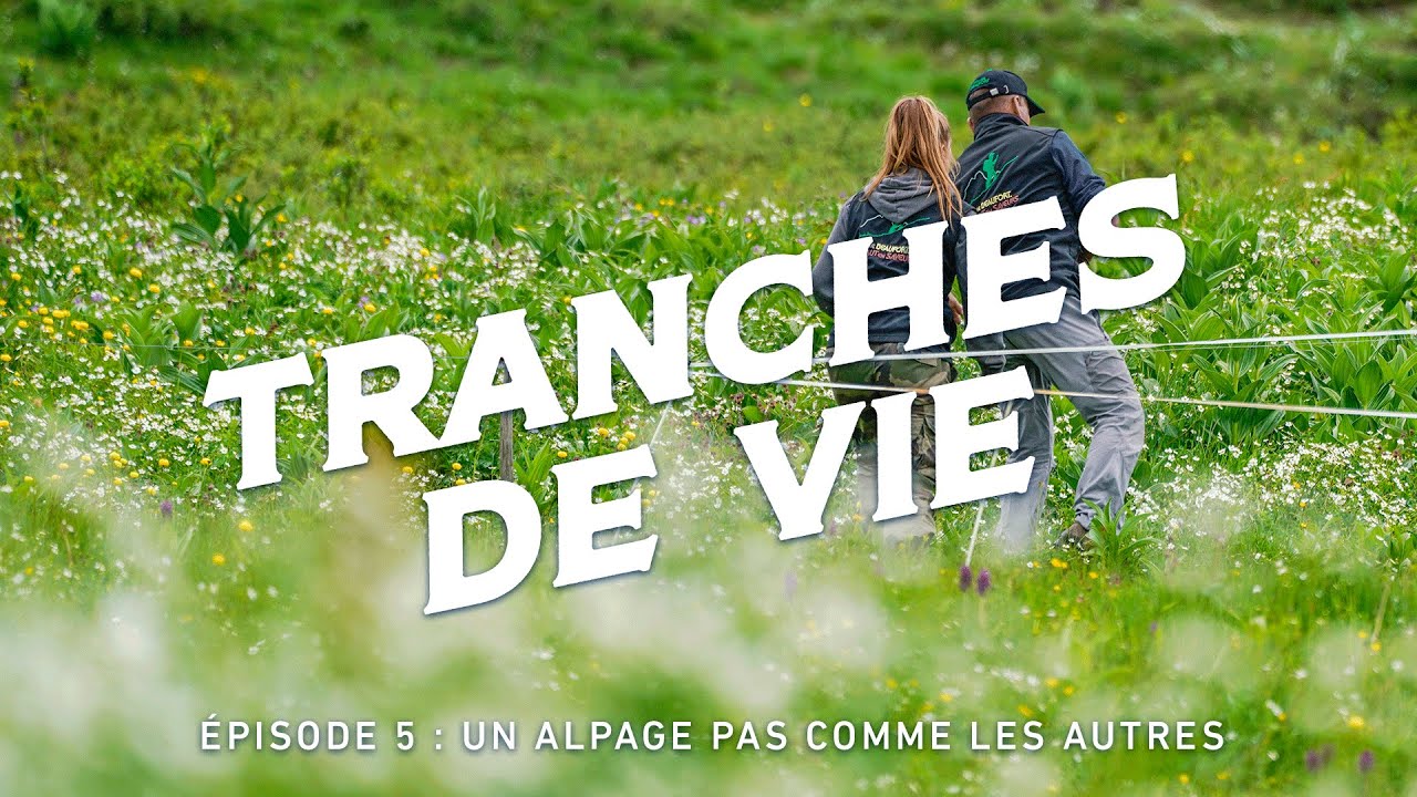 Un alpage pas comme les autres - TRANCHES DE VIE - Saison 2 - Épisode 5