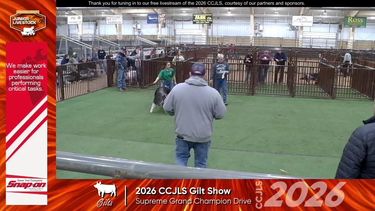 2026 Canadian County Junior Livestock Gilt Show