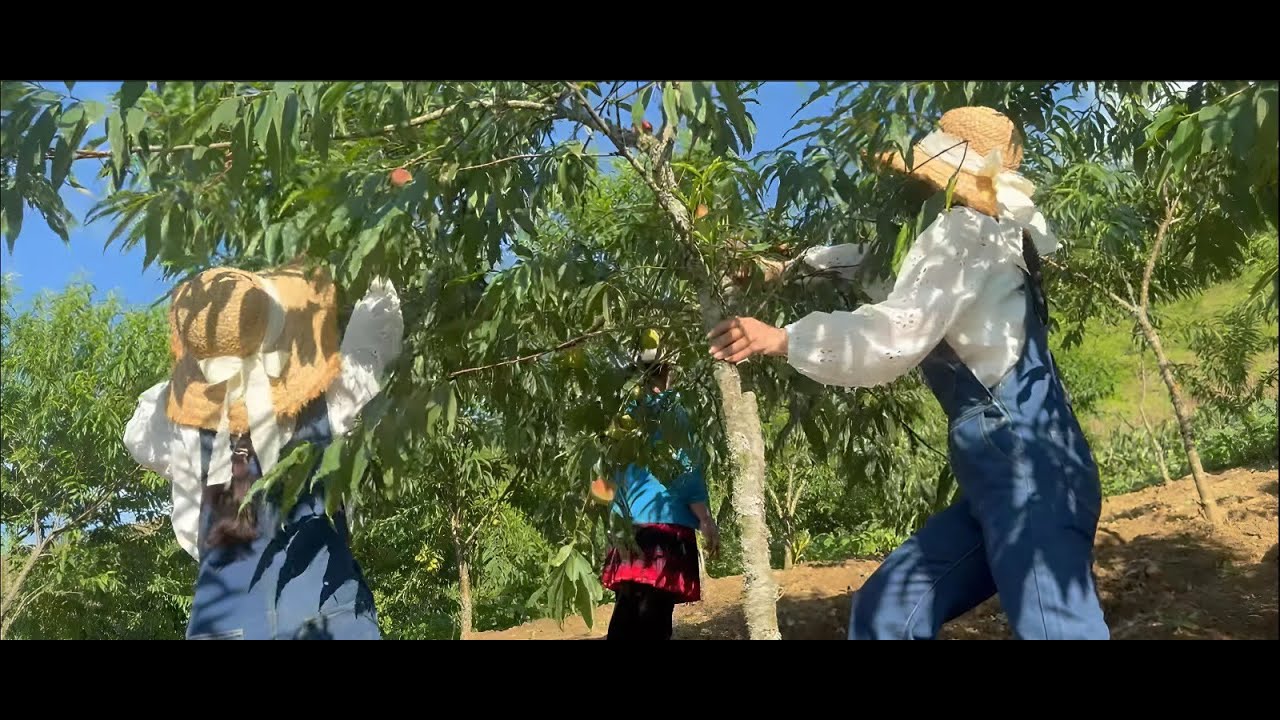 #6 Taste of Vietnam’s Hills: Sisters Make Milk Tea & Grilled Meat for the Kids!