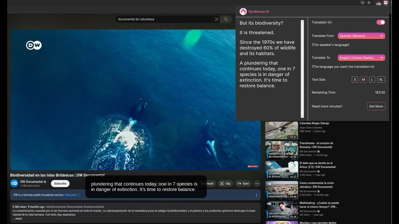 Real time video & audio translation Chrome extension demo