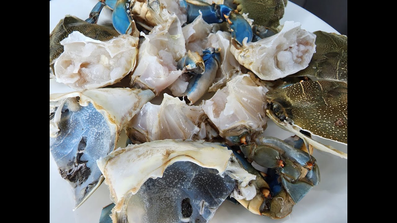 Cooking live crab for the first time? #crab #cookwithme