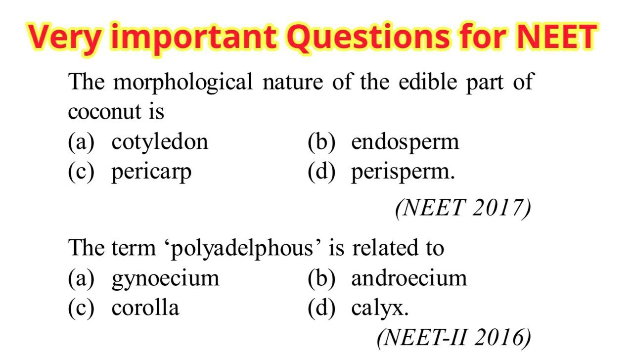 Very important questions for NEET 2020 || Morphology of flowering plants