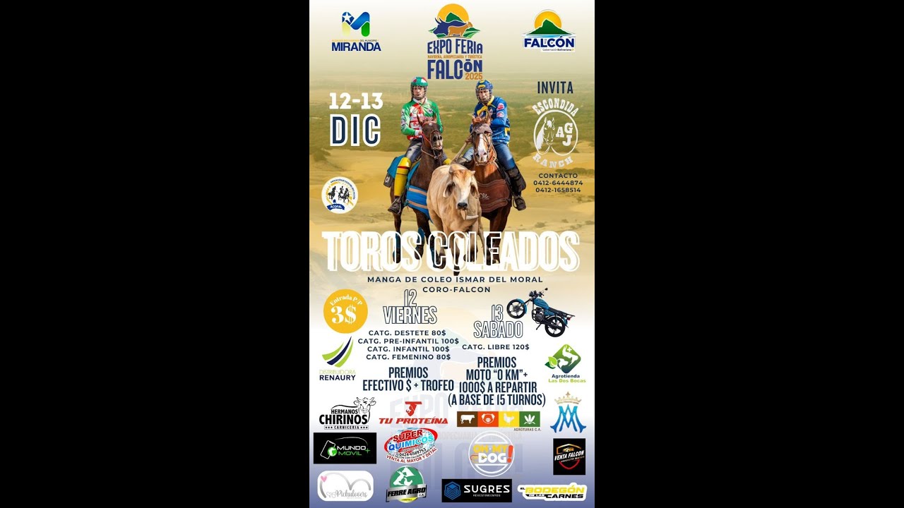 TOROS COLEADOS 