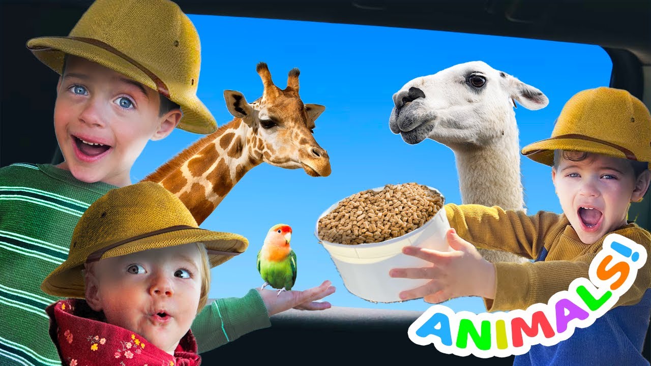 SAFARI Drive Thru Adventure | ZOO Animals