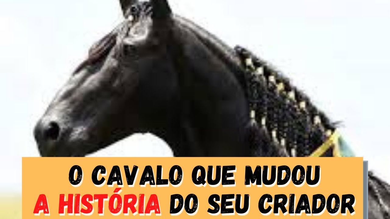 Seu Chico Tandy - Um cavalo que nasceu para ser Campe&atilde;o!