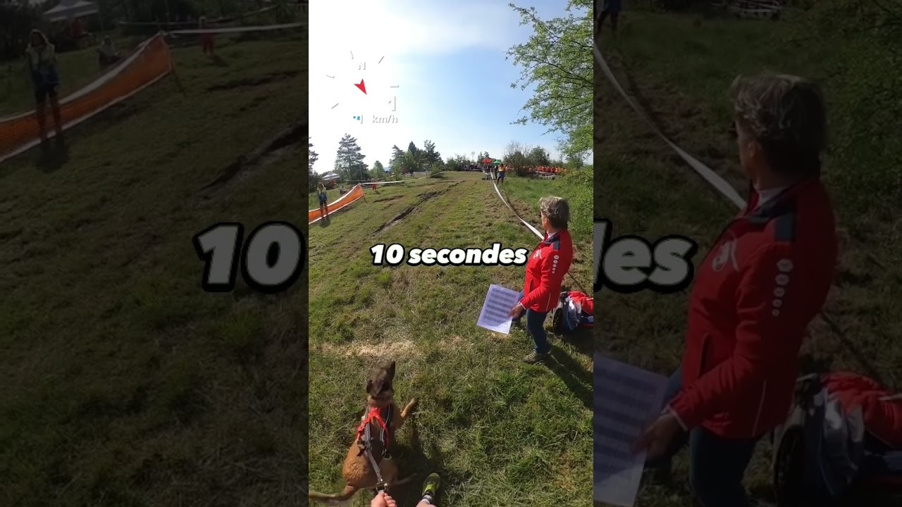 Comment devenir sourd = faire un canicross 🐕-🏃🏽&zwj;♂️ #dog #malinois #canivtt #canicross