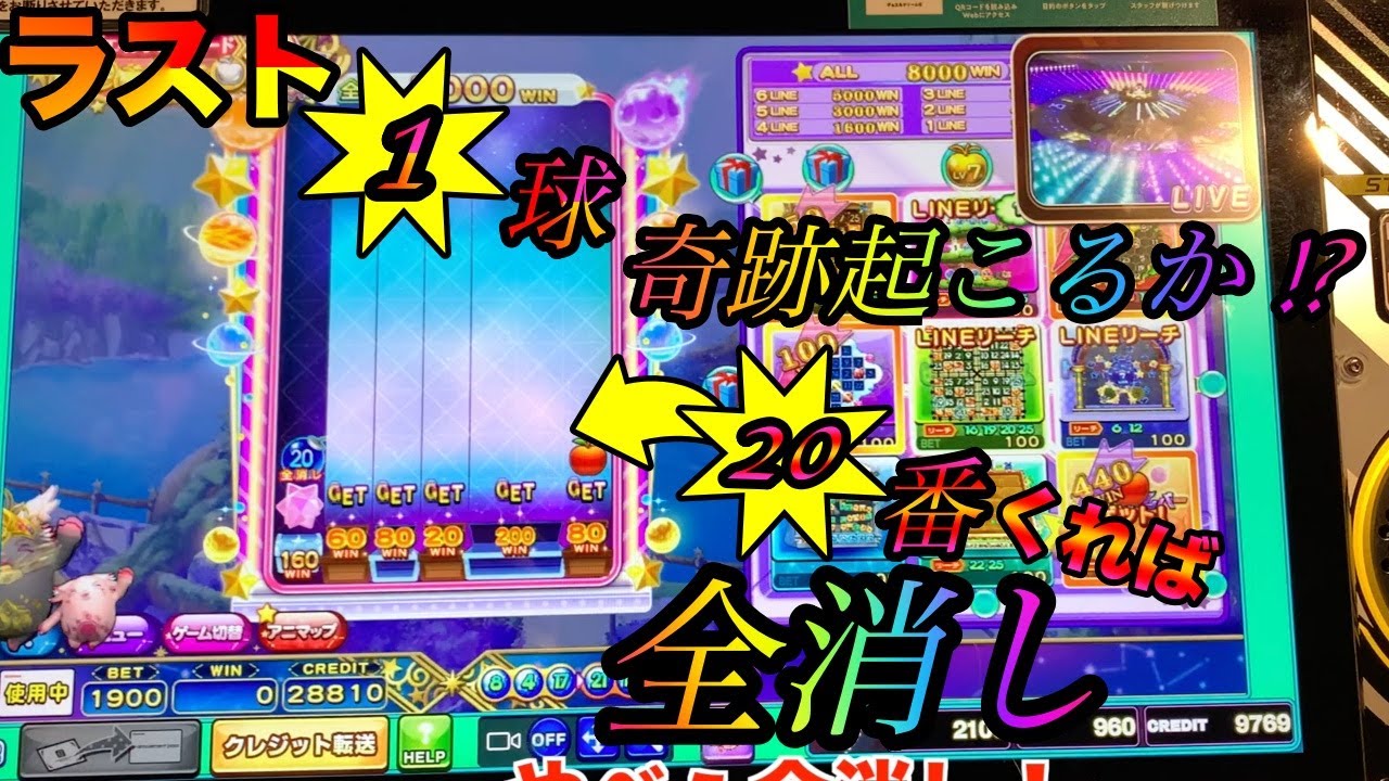 【アニマロッタ6】ラストで奇跡は起こるか!?!?久々全消しチャンス！20番くれば激アツ！！