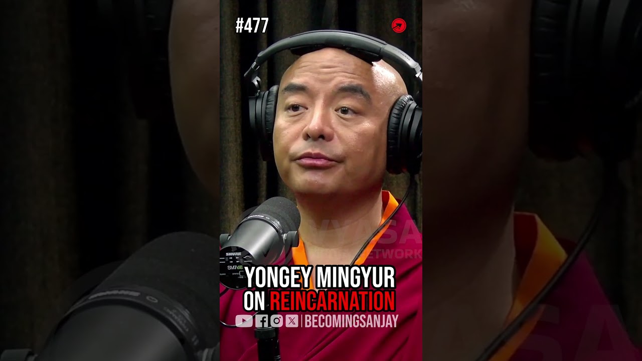 Yongey Mingyur On Reincarnation!