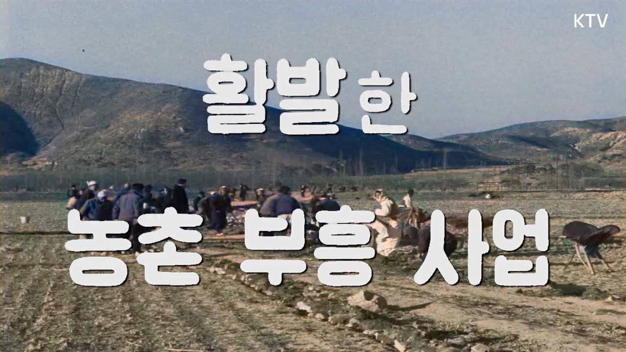 [📺컬러 복원] 활발한 농촌 부흥사업 | 논길 확장부터 공동판매까지, 협동의 힘 [대한뉴스 349호] 📽️1962년 1월 27일 방영