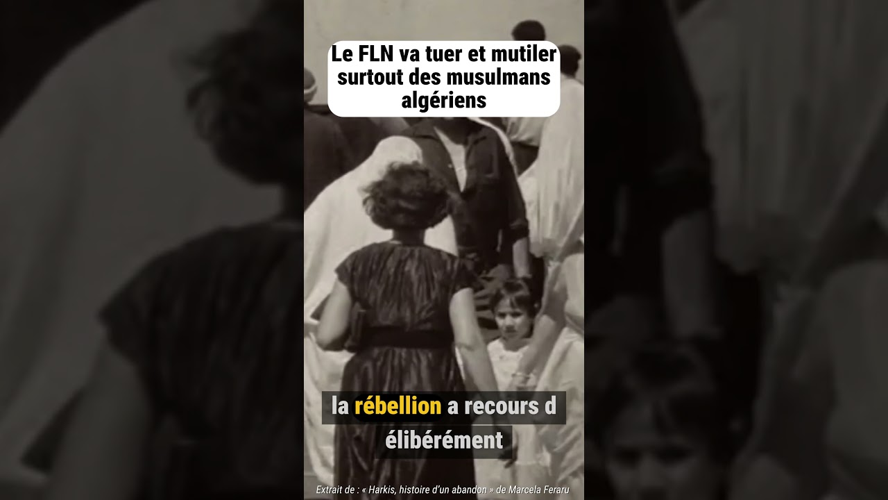 ❗ Alg&eacute;rie / FLN : Une v&eacute;rit&eacute; historique occult&eacute;e