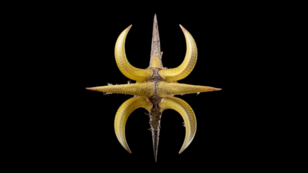 Rafael Cerato, widerberg - Hero (Guzy Extended Remix)