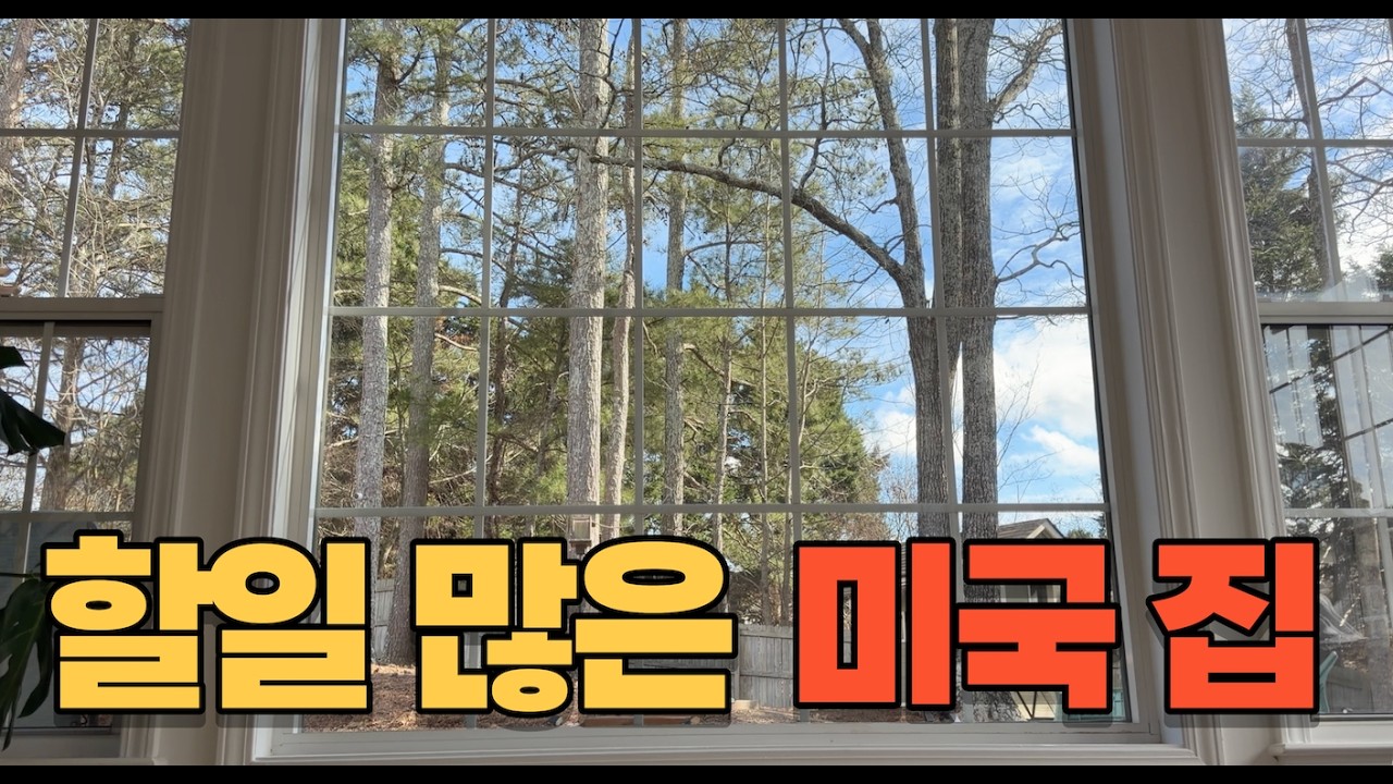 미국일상 브이로그 🇺🇸 내가 움직이지 않으면 망가지는 미국집과 함께 강제 부지런해지는 일상..