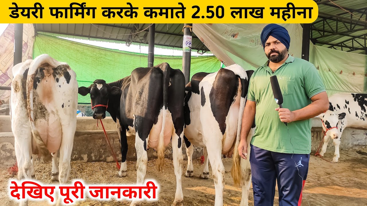 डेयरी फार्मिंग करके कमाते है 18000 रोज || modern dairy farming in punjab