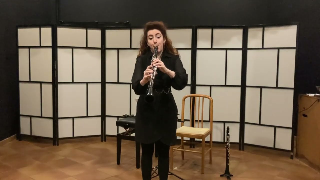 VERBIER FESTIVAL ORCHESTRA (VFO) - Audition