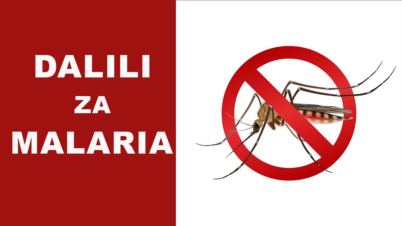 MALARIA INAKUONYA KWA DALILI HIZI KABLA HAIJAKUDHURU