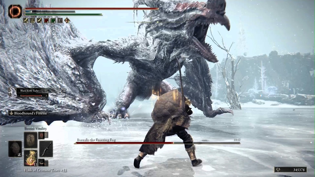 Elden Ring Bossfight Borealis the Freezing Fog melee NG+4